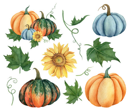 Watercolor set of pumpkins orange, blue and green colors with leaves and sunflower. Hand drawn illustration vegetable for the design of signage, agribusiness logo, banner with organic food, healthy brand labels.の写真素材