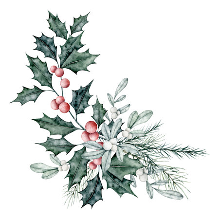 Christmas bouquet of ilex branches with red berries, snowberry and spruce branch, fir, cedar. Botanical Winterberry banner. Hand painted watercolor illustration for wedding invitation, cardの写真素材