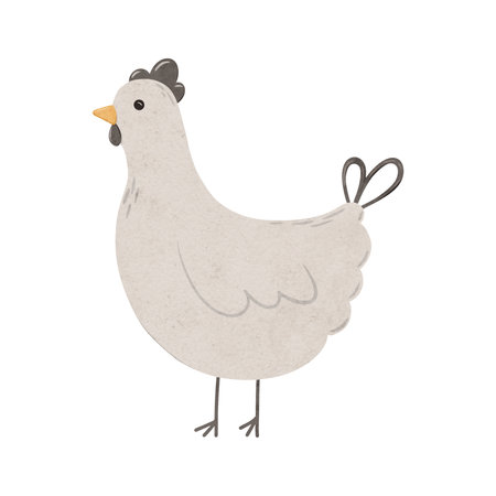 Cartoon domestic chicken. Digital hand drawn farm bird illustration for textile design, poster, postcard. Cartoon style character drawing for printing on an isolated backgroundの写真素材