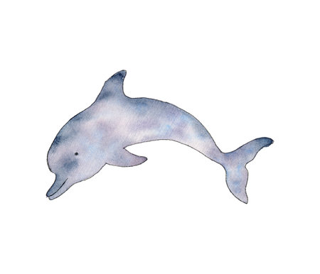 Dolphin in grey color. Underwater fish. Aquatic placental marine mammal with flippers and tail. Hand drawn watercolor line art illustration of sea fish. Tropical fish for wall sticker, card, fabricの写真素材
