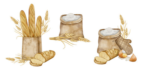 Set of flour sack, Crispy French baguettes in craft bag with bunch of spikelets of wheat, rye, grains and sliced fresh bread. Hand drawn watercolor illustration for bakeryの写真素材