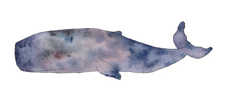 Watercolor cachalot. Wild inhabitant of the seas and oceans. Hand drawn cetaceans fish line art illustration for wallpaper, textile, cardの写真素材