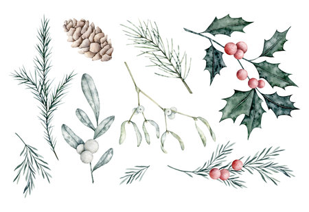 Christmas Set of snowberry, eucalyptus, spruce branch, rosemary twig, Mistletoe, dusty Miller, pine cone, ilex, holly with berries. Hand painted watercolor flower. Hand painted watercolor flower illustration for wedding invitation, pack, card.の写真素材