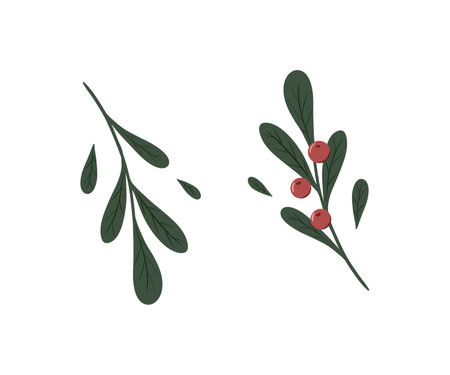 Christmas set of ilex branches with red berries. Holly leaves in scandinavian style. Botanical Winterberry. Hand painted digital illustration for wedding invitation, pack, christmas cardの写真素材