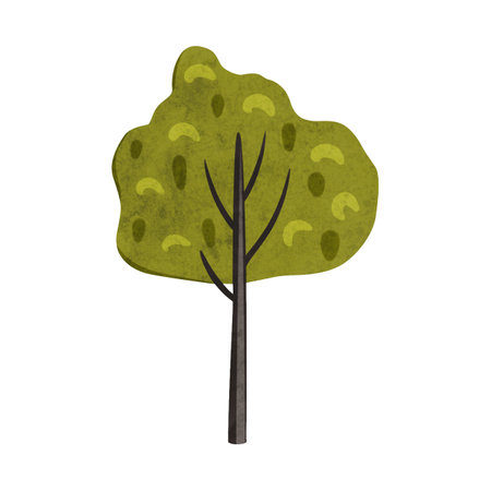 Cute cartoon deciduous tree in scandinavian style.. Bright stylized wonderland forest. Bushe, birch, poplar, aspen with green foliage. Hand drawn digital illustration for kids, baby, nursery, card, patternの写真素材