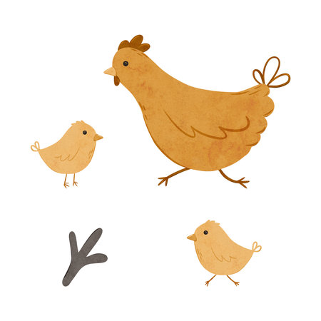 Set of Cartoon domestic chickens. Digital hand drawn farm birds illustration for textile design, poster, postcard. Cartoon style character drawing for printing on an isolated backgroundの写真素材