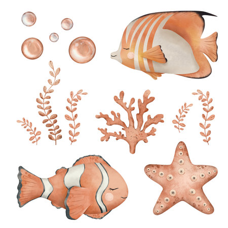 Set of Anemonefish or Clownfish in orange, black and white color and starfish, marine coral, seaweed algae. Hand drawn watercolor illustration of sea fish for nursery, wall sticker, cardの写真素材