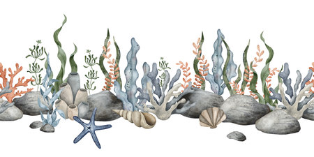 Seamless border of sea Pebbles, marine coral, starfish, seaweed algae. Hand drawn watercolor illustration. Marine, tropical collection for souvenir, posters, sticker, printing, bannerの写真素材