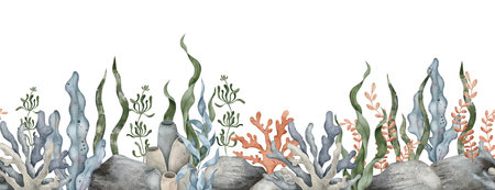Seamless border of sea Pebbles, marine coral, seaweed algae. Hand drawn watercolor illustration. Marine, tropical collection for souvenir, posters, sticker, printing, banner.の写真素材