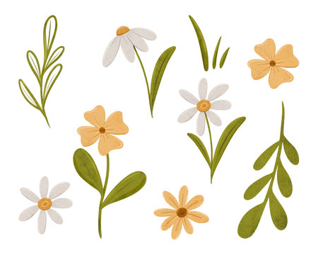 Set of pretty simple daisy flowers. Coupon with Chamomile in scandinavian style. Stylized tiny flowers, digital illustration for cards, invitations, decorationsの写真素材