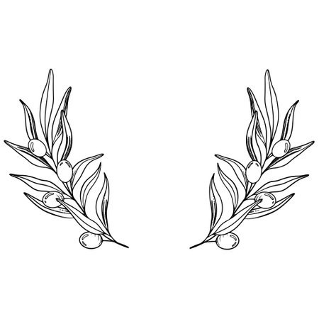 Sketch Wreath of olive branch with berries and leaves. Hand drawn vector line art illustration. Black and white drawing of the symbol of Italy or Greek for cards, design logo, tattooのイラスト素材
