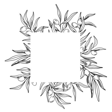 Sketch frame of olive branch with berries and leaves. Hand drawn vector line art illustration. Black and white drawing of the symbol of Italy or Greek for cards, design logo, tattooのイラスト素材