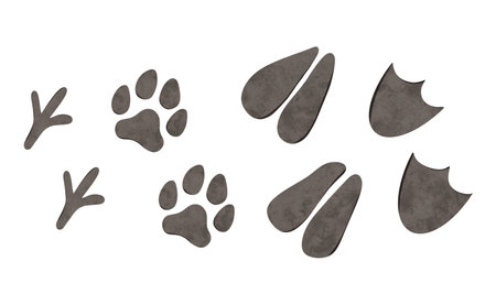 Set of Cartoon domestic animals footprint. Digital hand drawn farm chicken, cow, goose, dog illustration for textile design, poster, postcard. Cartoon style drawing for printingの写真素材