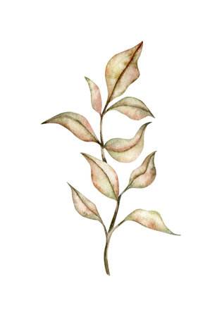 Rustic wedding greenery. Dried leaves, bleached grass, autumn herbal. Hand drawn Watercolor autumn illustration for design, fabric or printの写真素材