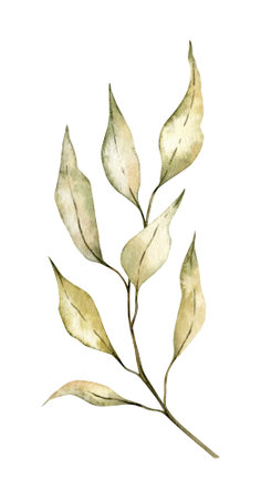 Rustic wedding greenery. Dried leaves, bleached grass, autumn herbal. Hand drawn Watercolor autumn illustration for design, fabric or printの写真素材
