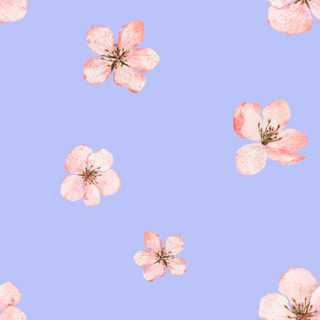 Seamless pattern with blooming cherry blossom, flowering sakura, spring apple. Floral watercolor background. Perfect for design templates, wallpaper, wrapping, fabric and textileの写真素材