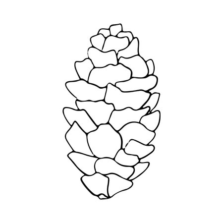 line art pine cones. Ink graphic twig of conifers evergreen tree. Hand painted outline botanical illustration for Christmas greetings, cards, wallpapers, invitationのイラスト素材
