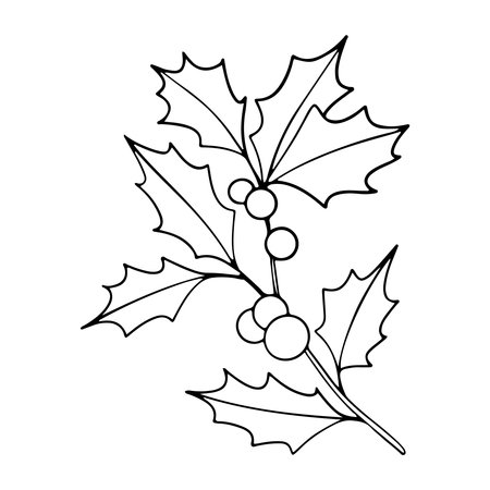 Christmas line art of ilex branches with berries. Holly leaves. Botanical Winterberry graphic. Hand painted outline illustration for wedding invitation, pack, cardのイラスト素材