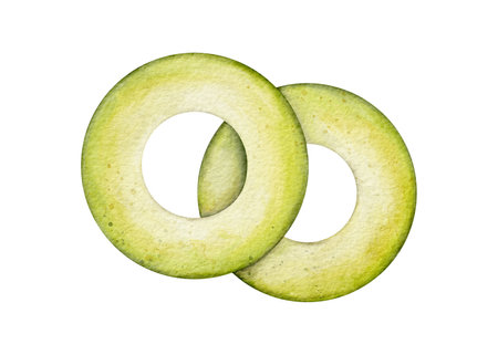 Slice Avocado Watercolor illustration. Hand drawn clipart on isolated background. Botanical painting of tropical Fruit. Drawing of green Vegetable for food packaging design. Plant sketch for kitchen prints.の写真素材