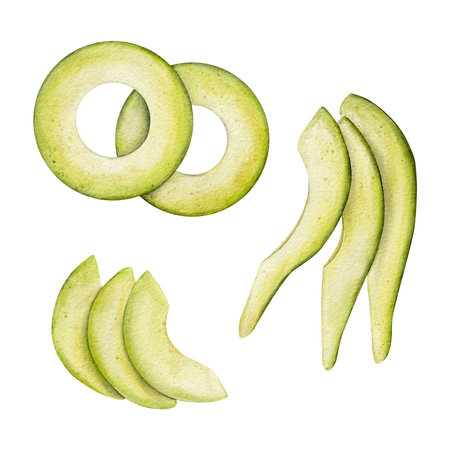 Set of slice Avocado Watercolor illustration. Hand drawn clipart on isolated background. Botanical painting of tropical Fruit. Drawing of green Vegetable for food packaging design. Plant sketch for kitchen prints.の写真素材