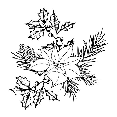 Bouquet of Christmas plants line art. Ink graphic poinsettia, twig of ilex with berries, and conifers evergreen tree. Hand painted outline botanical illustration for greetings, cards, invitationのイラスト素材