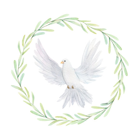 Watercolor white dove and olive branches. White birds in laurel wreath. Pigeon clip art. Hand drawn illustration isolated on background. Decorative design elementsの写真素材