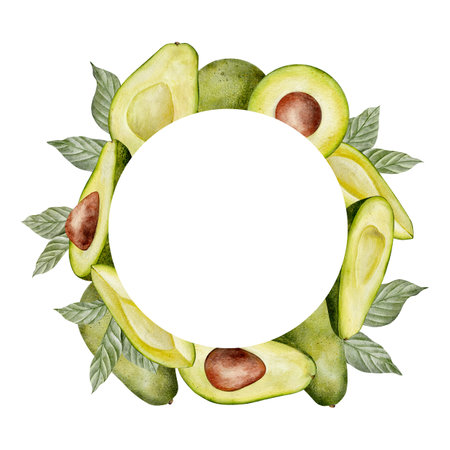 Circle frame. Watercolor avocado leaves and flowers illustration. Hand drawn botanical drawing. Tea leaf. Green plant vegetables on isolated background for food, cosmetic packaging design, card, invitation.の写真素材