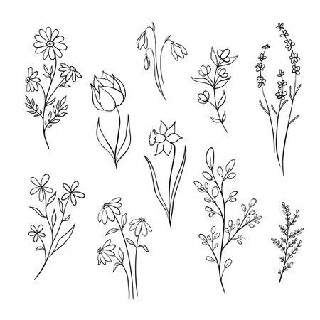 Set of doodle flowers and branches. Hand drawn illustration in monochrome black and white colors. Floral vector collection with plants. Outline floral element for icon.のイラスト素材