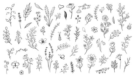 large Set of doodle plants and insects. Hand drawn illustration in monochrome black and white colors. Floral vector collection with flowers and branches on isolated background Outline floral element for iconのイラスト素材