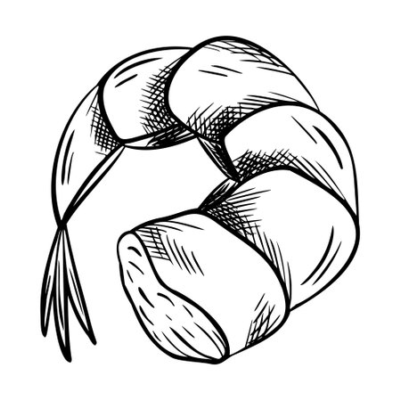 Vector peeled Shrimp Silhouette. Sketch of seafood. Hand Drawn Symbol. Monochrome illustration for icon, menu, package. Engraving Marine food artのイラスト素材