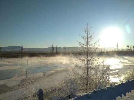 winterの写真素材