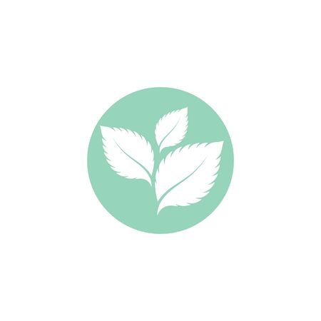 Mint leaves flat vector color icon templateのイラスト素材