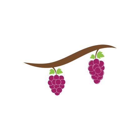 Grapes template vector icon illustration designのイラスト素材