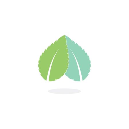 Mint leaves flat vector color icon templateのイラスト素材