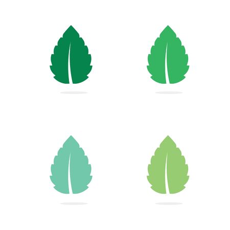 Mint leaves flat vector color icon templateのイラスト素材