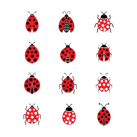 Beauty bug vector illustration icon design templateのイラスト素材