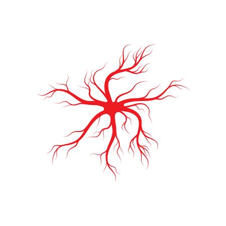 Human veins and arteries illustration design templateのイラスト素材