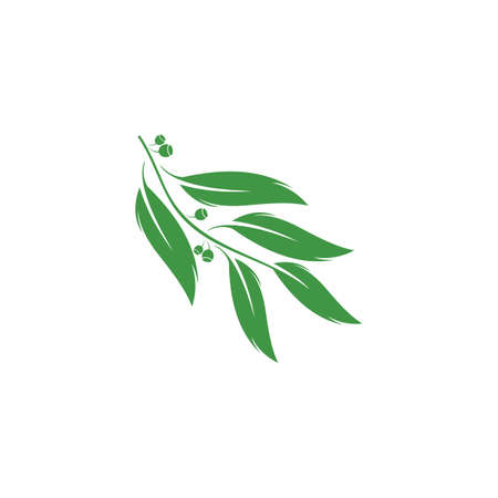 Eucalyptus leaves logo vector template design illustrationのイラスト素材