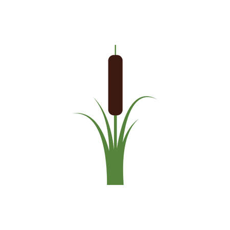 Reeds icon vector design template and symbolのイラスト素材