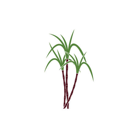 Sugar cane Logo Template vector symbol natureのイラスト素材