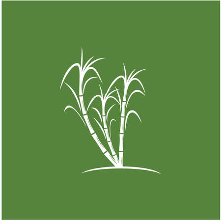 Sugar cane Logo Template vector symbol natureのイラスト素材