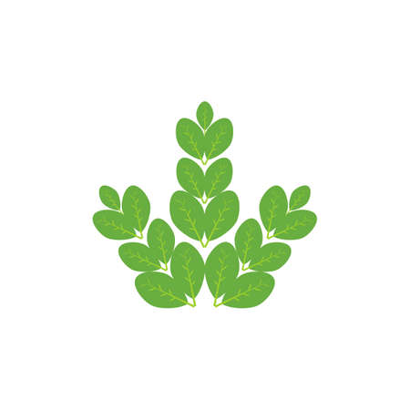 Moringa leaf Logo Template vector symbol natureのイラスト素材