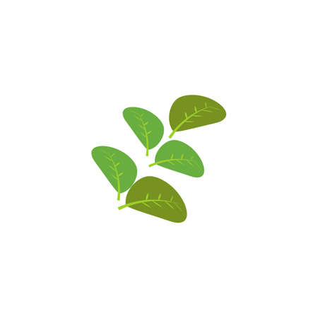 Moringa leaf Logo Template vector symbol natureのイラスト素材