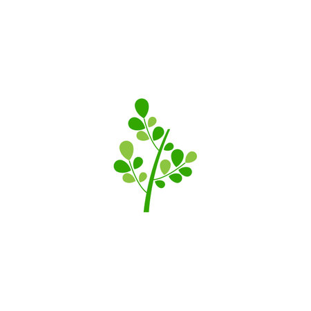 Moringa leaf Logo Template vector symbol natureのイラスト素材