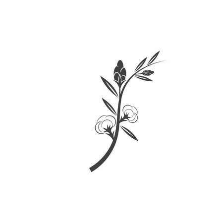 Cotton Template vector symbol natureのイラスト素材