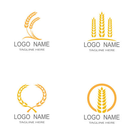 Agriculture wheat Logo Template vector icon designの写真素材
