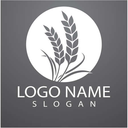 Agriculture wheat Logo Template vector icon designのイラスト素材