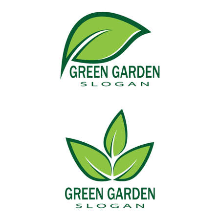 Leaf icon Vector Illustration design Logo templateのイラスト素材