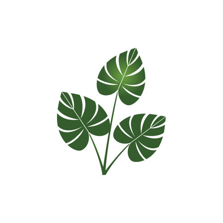 Monstera leaf logo vector designのイラスト素材