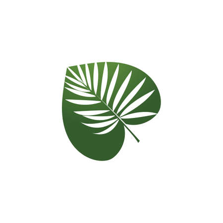 Monstera leaf logo vector designのイラスト素材